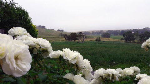 A Way To Relax At Welcome Springs Country Stays - Surfers Gold Coast 8